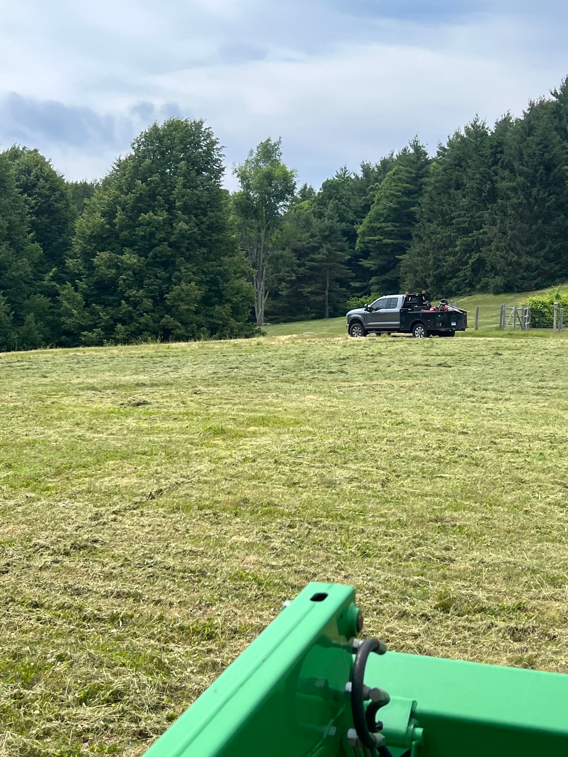 Gallery photos for Estate Field Brush Hogging Done Right Before the Fourth: Image #3