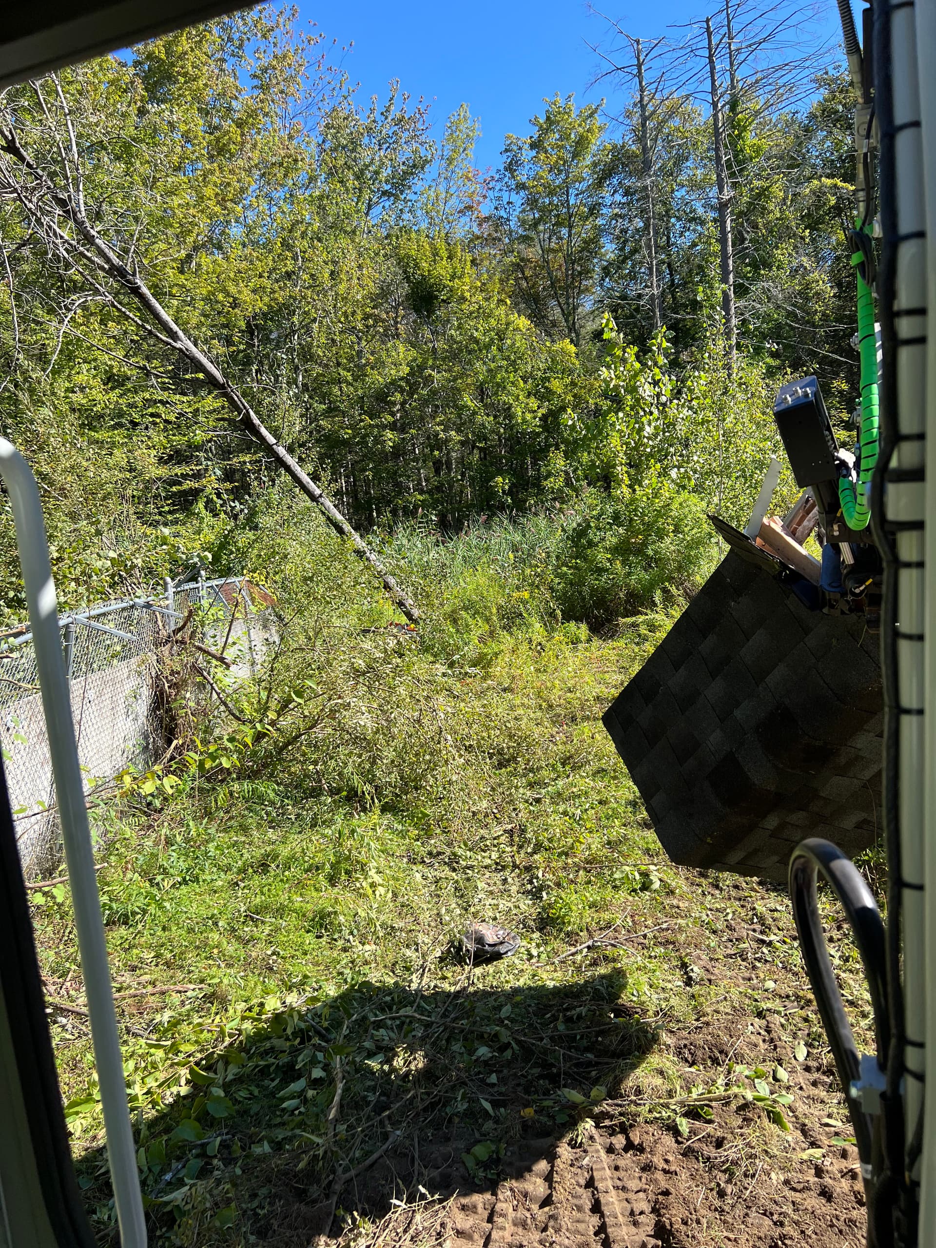 Gallery photos for Dog Kennel Removal Paves Way for Green Space Transformation: Image #1