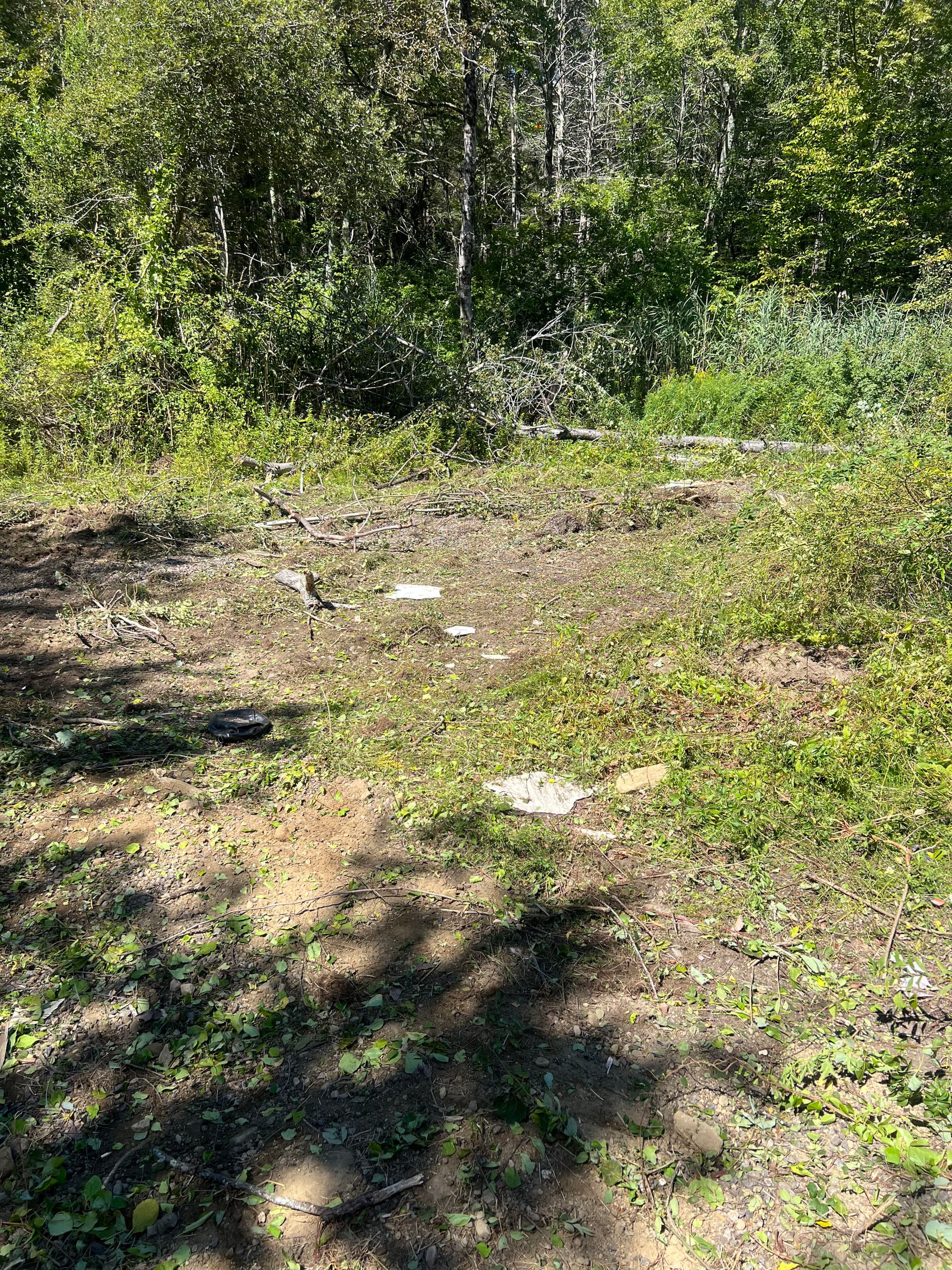 Gallery photos for Dog Kennel Removal Paves Way for Green Space Transformation: Image #4